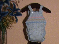 /album/nuestros-productos1/dsc00236-jpg1/