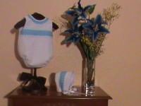 /album/nuestros-productos1/dsc00264-jpg1/