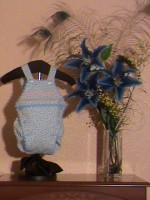 /album/nuestros-productos1/dsc00278-jpg2/